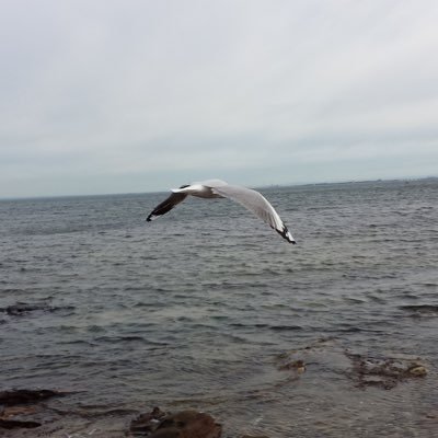 nine40373251's profile picture. 不左不右，用良知来敲打每一个字....