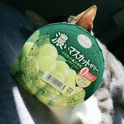 掃除さんのプロフィール画像