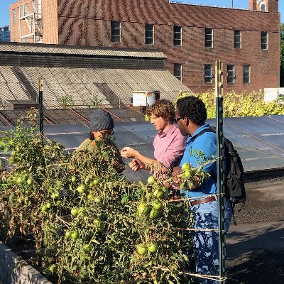 Urban Agriculture Specialist, Cornell Cooperative Extension. Supporting urban farmers throughout NYC. #urbanfarming @Harvest_NY
