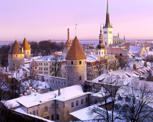 baltia_solvex's profile picture. 