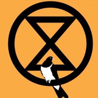 BalsallHeathXR (@balsallheathxr) 's Twitter Profile