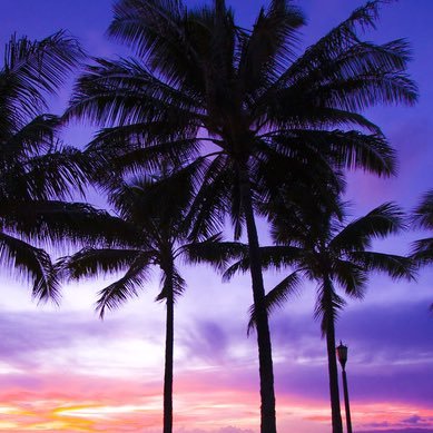 suzunoki1202's profile picture. 