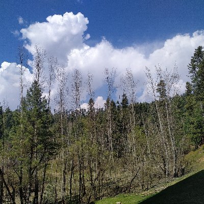 Dp89152690's profile picture. 