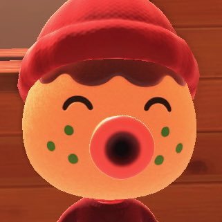 animal crossing new horizons stan account ✨