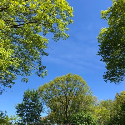 AbtGrandmother's profile picture. a place to talk about race. https://t.co/SOA7ZSnMed and https://t.co/kYVzUS0HH7 online 6/5/2020