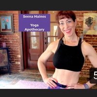 Seena Haines (@hainesseena) 's Twitter Profile