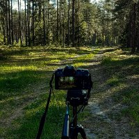 Nature photography by GP (@gp_naturephoto) Twitter profile photo