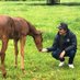 Tartan Meadow Bloodstock @ Kaipira Lodge (@tartan_meadow) Twitter profile photo Tartan Meadow Bloodstock @ Kaipira Lodge (@tartan_meadow) Twitter profile photo