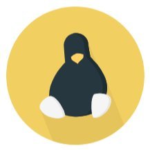 FModeler's profile picture. i am a Roblox Modeler.
Discord: Frost Modeler#4537
Dm me if you need model for anything, i will try my best