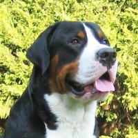 Konrad Unger (@ungerkonrad) 's Twitter Profile
