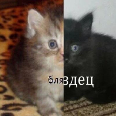 saynotocloset's profile picture. меня не существует