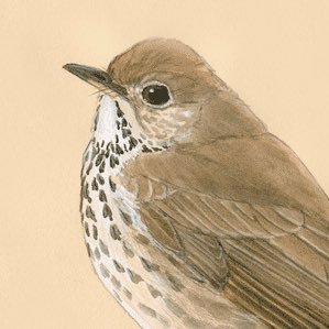 ACABforCutie69's profile picture. #blacklivesmatter Police Abolition NOW!

torah made me anarchist, labor made me syndicalist, G-d made me adorable

she/her