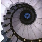 paradigmshift38's profile picture. Malignant narcissists do not make good presidents.