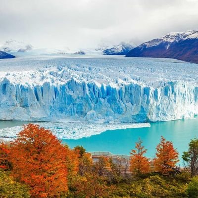 franquibe's profile picture. 