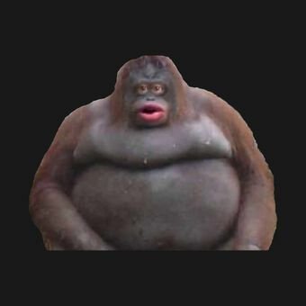 TeamIds's profile picture. 