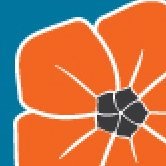 SCC_CAAEYC's profile picture. Shaping excellent early care and education leaders 
and systems in the region, now and in the future.  Real People, Real Time, Real  Conversations.