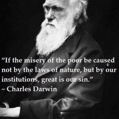 Ignorant offspring of the self-entitled wasted youth of the world. The American Gift destroyed the American Dream.