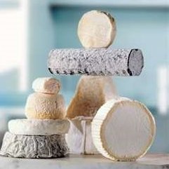 kozarstvo's profile picture. udruzenje uzgajivaca