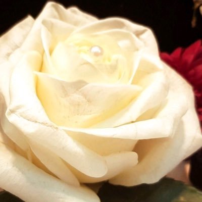 وكلما تألمت على أشياء فقدتها ،
ازحت تلك الغصّہ وهمستُ بـ أعماقي
لو كانَ خيراً لي لأبقاههَ آللہ معي ~