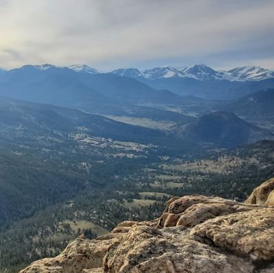 current_design5's profile picture. 