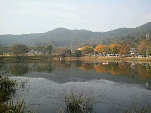 hansy3010's profile picture. 【처음처럼】자만하지 말고, 항상 배려하는 마음으로
  살아간다면 인생 한번 살아볼 가치가 있다고ㅋㅋㅋ
  생각되지 않나요.