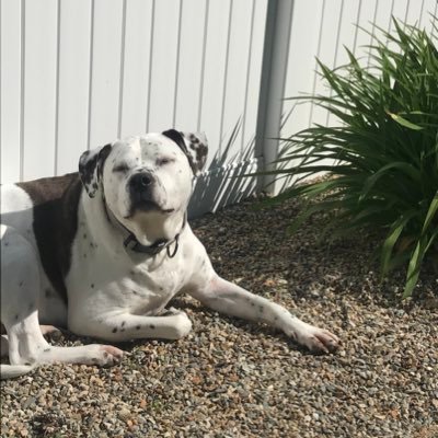 jbeckabec49's profile picture. Mom, wife, teacher, striving daily to find the joy in the simple