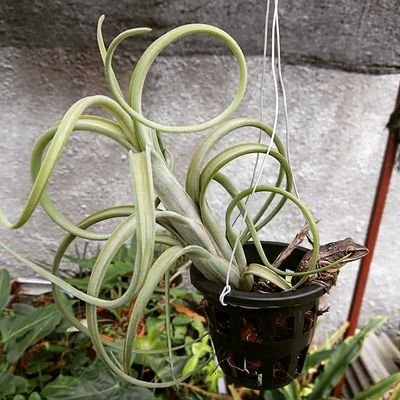 Eta93276464's profile picture. 