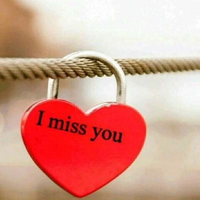 AparecidaCarlo8's profile picture. 