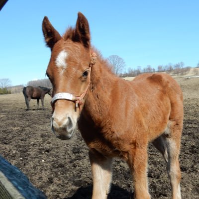 iD1Nhgehf6V60XW's profile picture. あんまり呟いてませんが、よろしくお願いします。競馬、ボウリング、サッカーなどなど。