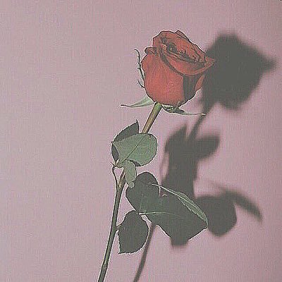 kyodaiigaku's profile picture. 底辺から逆転 / 浪人生