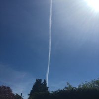 D (@ddduke6) 's Twitter Profile
