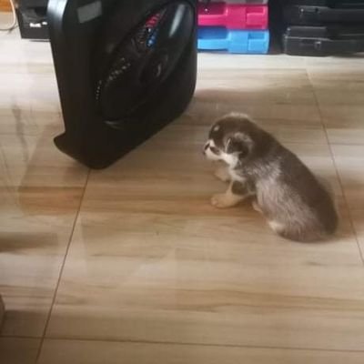 EveryPerson1's profile picture. 