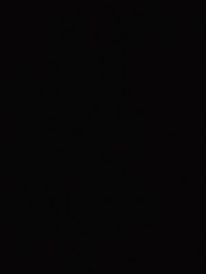 darkmoose6's profile picture. 