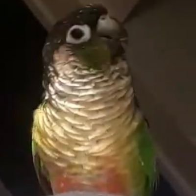 YourGrandmastep's profile picture. Your grandma steph