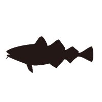 CodFish(@RRCodFish) 's Twitter Profile Photo