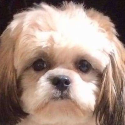 juntiburcio's profile picture. 'nuff said