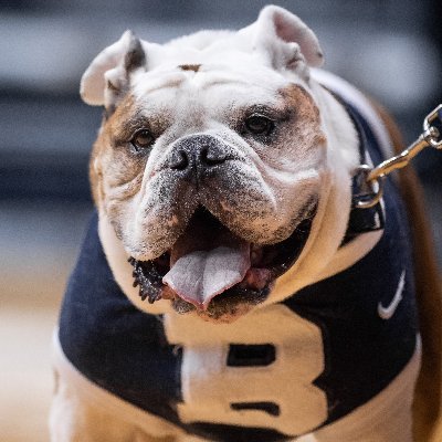 I'm Butler Blue III, but you can call me Trip! I am the retired mascot for Butler University (@butleru), predecessor to @TheButlerBlue. #GoDawgs #MayorOfMarch