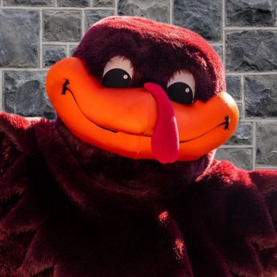 HokieBird Lover | Virginia Tech Supporter 24/7/365 🦃 | Not affiliated with the Virginia Polytechnic Institute and State University