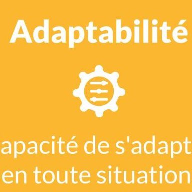 Conseils & astuces pour le télétravail sous l'angle des télétravailleurs ou des gestionnaires d'équipes à distance.