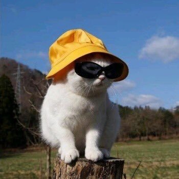 Koyshe69's profile picture. valoranting