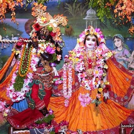 All glories to Radha and Krishna and the divine forest of Vrindavan.
Vrindavan Updates, Vrindavan Guide, Trip Guide, Jai Shri Krishna 🙏 Jai Shri Ram 🙏