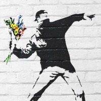 Kevin Vassily (@kvassily) 's Twitter Profile