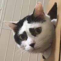 marin (@maririn12151215) Twitter profile photo