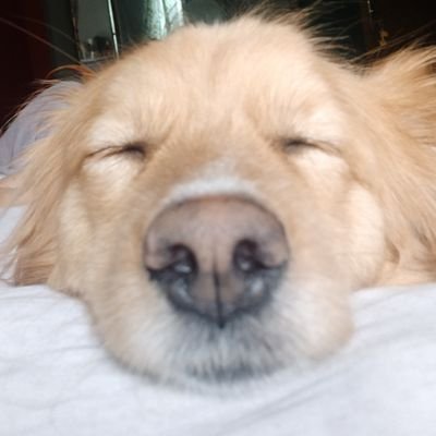 23coffeecups's profile picture. speechless