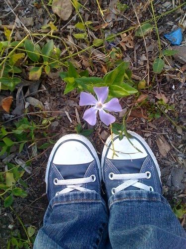 it ain't easy being green. reformed consumer looking to reduce my ecological footprint one step at a time.