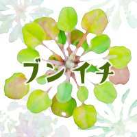 文一総合出版【公式】5月は新刊4冊🌿(@BunichiSS) 's Twitter Profile Photo