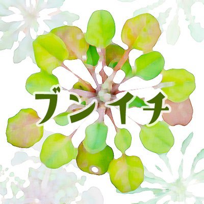 文一総合出版 公式 新刊発売中 つ 全国の梅園情報も収録 日本国内で見られるウメの品種 を紹介したハンディ図鑑 庭木や梅園に植えられている代表的な品種を1種掲載 鑑賞時のコツや庭ウメ 鉢ウメの育てかたも収録 ウメ 梅