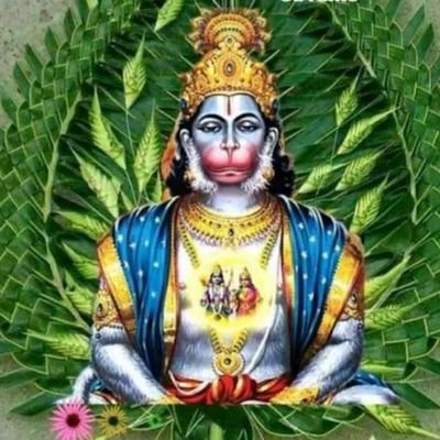 CCcorner1's profile picture. self emplayee