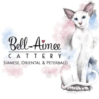 We are a small cattery located in Pietermaritzburg, specializing in healthy, happy & well socialized Siamese, Oriental & Peterbald kittens.