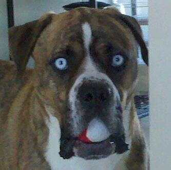 DLivinLegend10's profile picture. Work hard play harder. Chicago sports fan.